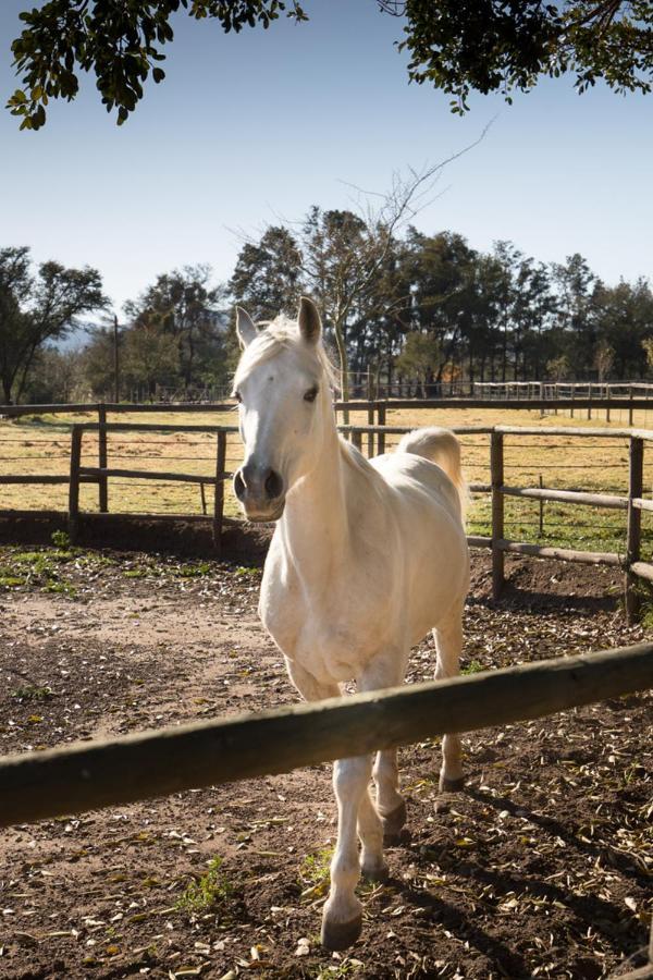 Aasvoelkrans Guest Farm Bed & Breakfast Montagu Luaran gambar