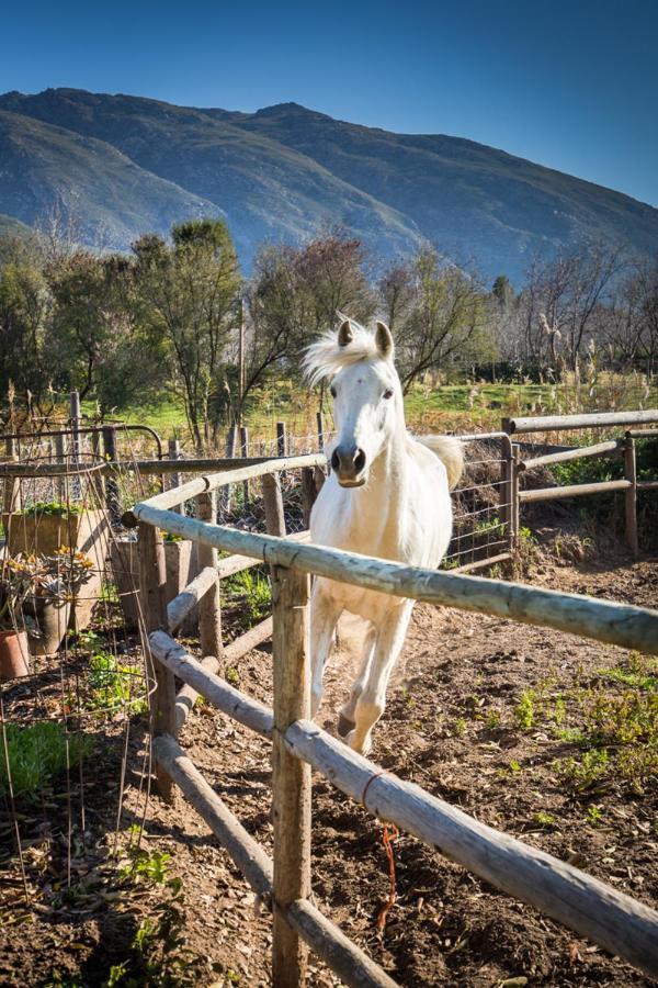 Aasvoelkrans Guest Farm Bed & Breakfast Montagu Luaran gambar